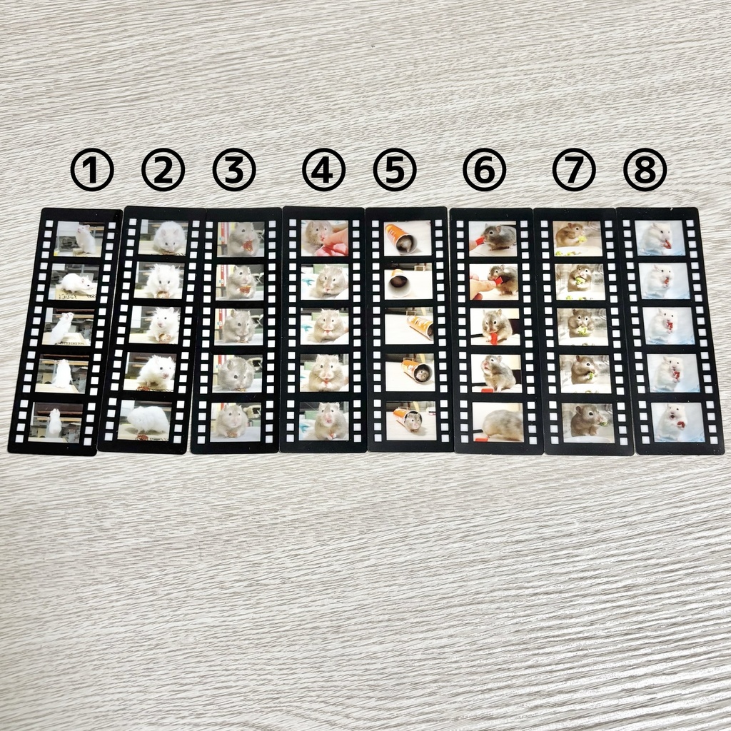 フィルム風しおり(全8種)