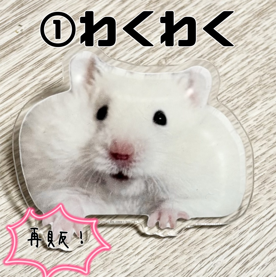 【再販&新作】ボスあげの見守りクリップ(全3種)