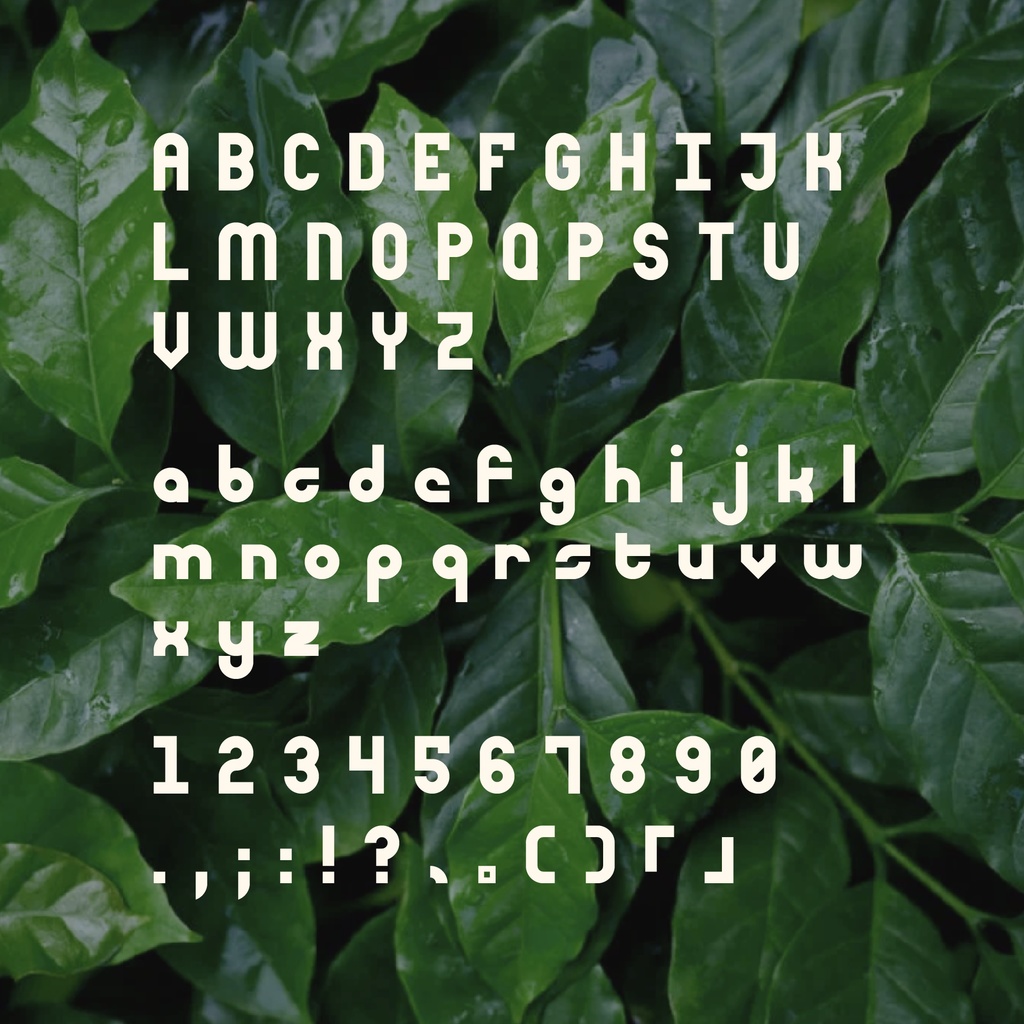 【日本語フォント】Luck Font AFC100-22「無料有り」