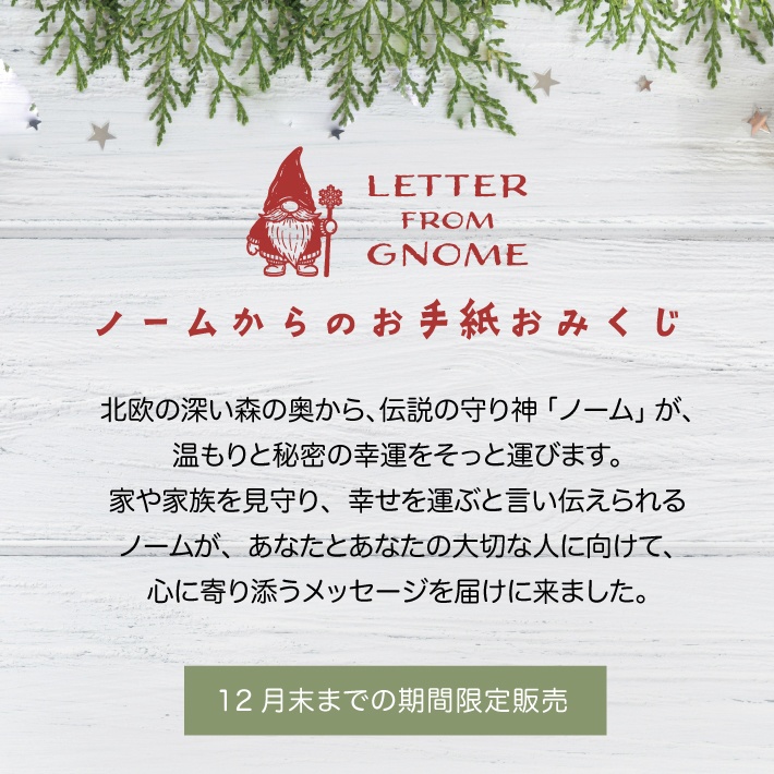 冬期限定販売 *:。*ノームからのお手紙おみくじ【24枚セット】