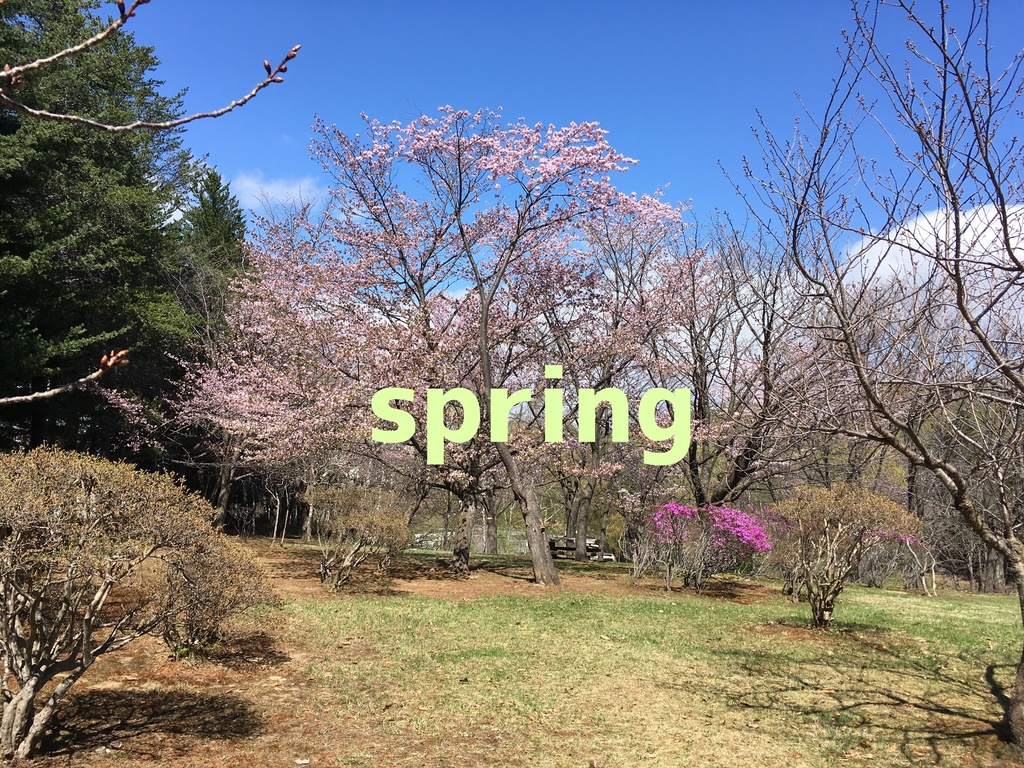 【15秒動画用BGM】spring