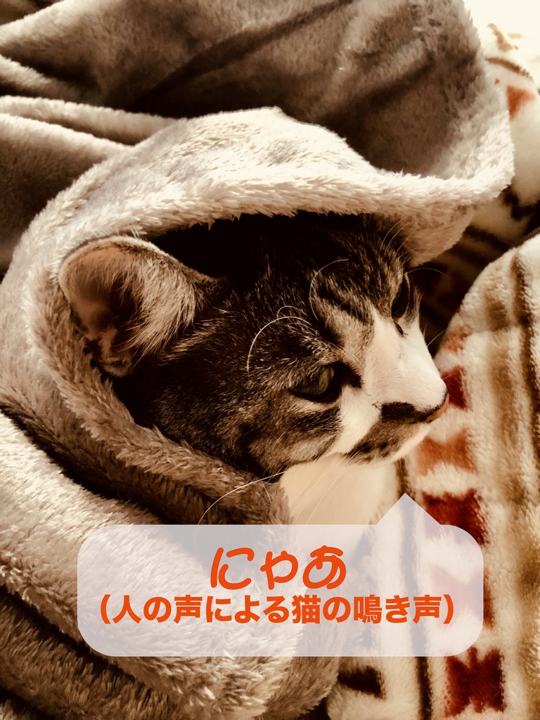 【フリー　効果音】にゃあ（人の声による猫の鳴き声）/ [sound effects]　Meow（A person imitating a cat's meow）