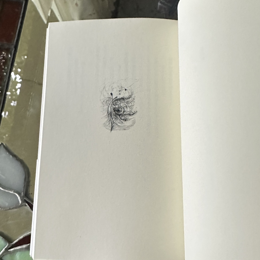 鶯浦 るか詩集『星の血』新・北陸現代詩人シリーズOUURA LUCA