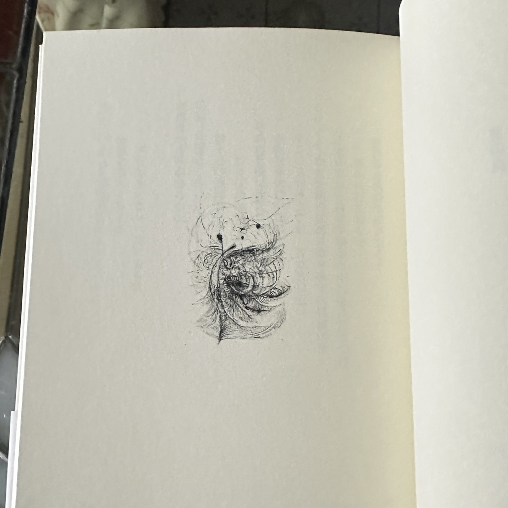 鶯浦 るか詩集『星の血』新・北陸現代詩人シリーズOUURA LUCA