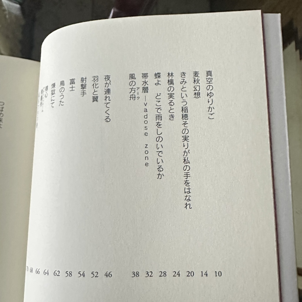 鶯浦 るか詩集『星の血』新・北陸現代詩人シリーズOUURA LUCA