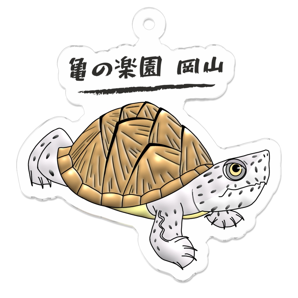 亀の楽園岡山 オリジナルキーホルダー