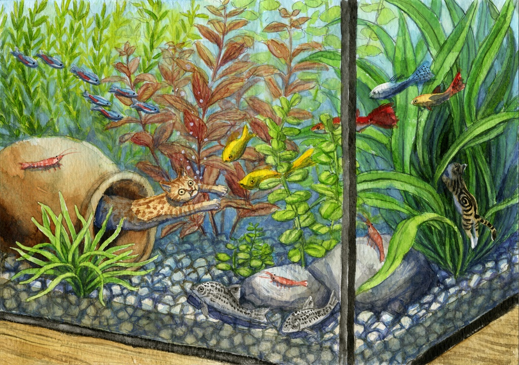 ミニ絵本 プイプイと庭のトンネル