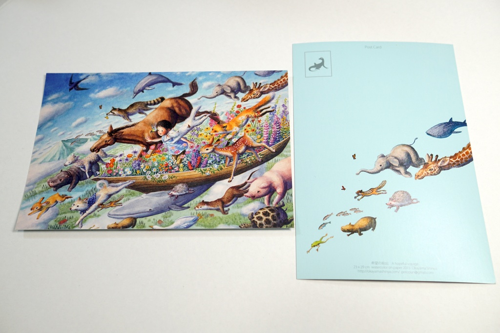 ポストカード 両面カラー 12枚セット