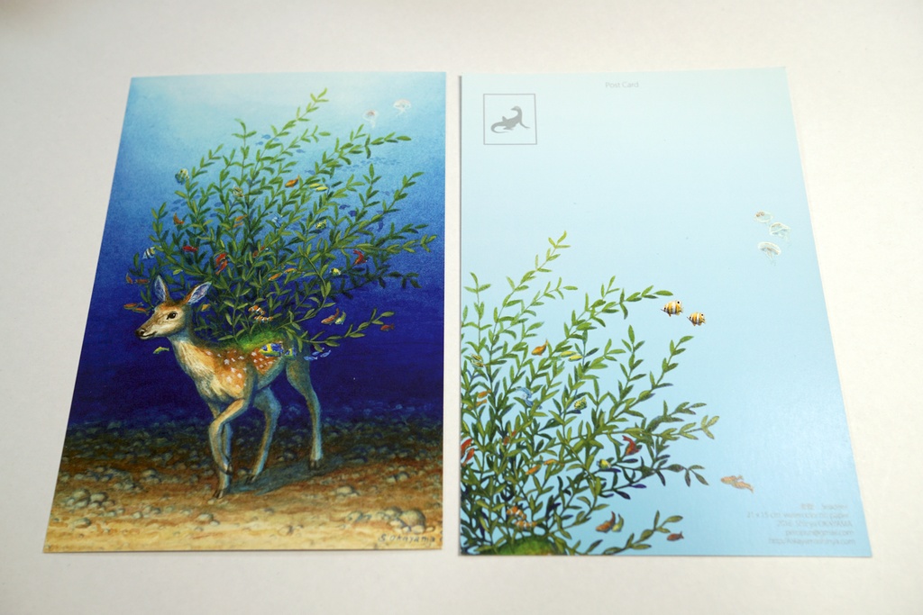 ポストカード 両面カラー 12枚セット