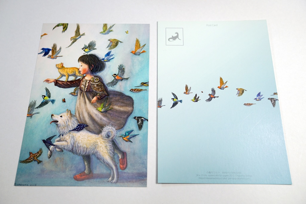 ポストカード 両面カラー 12枚セット