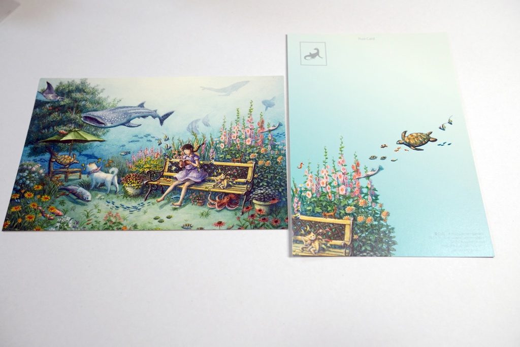 ポストカード 両面カラー 12枚セット