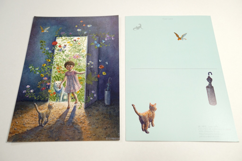 ポストカード 両面カラー 12枚セット