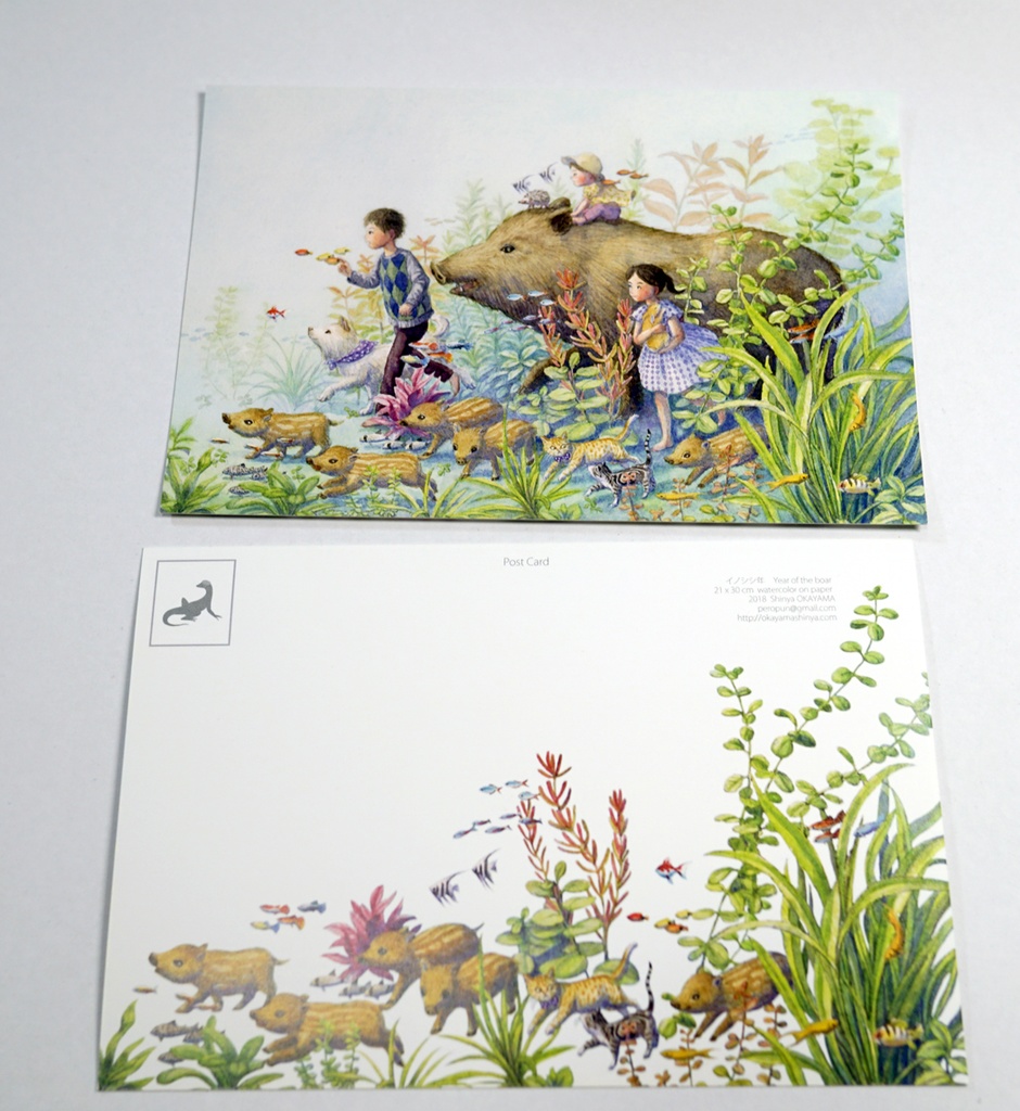 ポストカード 両面カラー 12枚セット