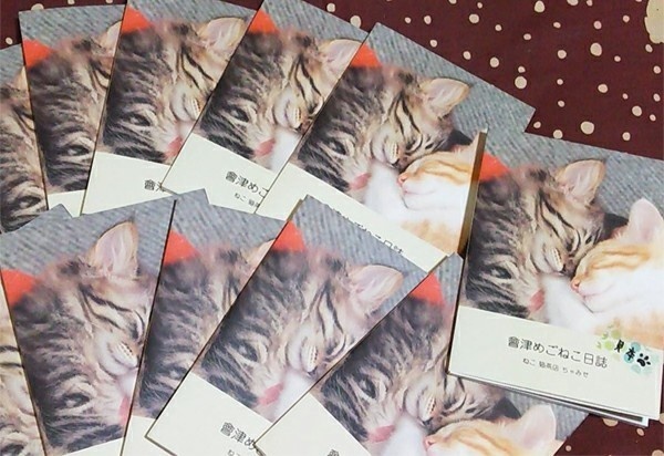 會津めごねこ日誌