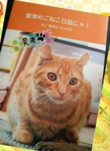 會津めごねこ日誌にゃ