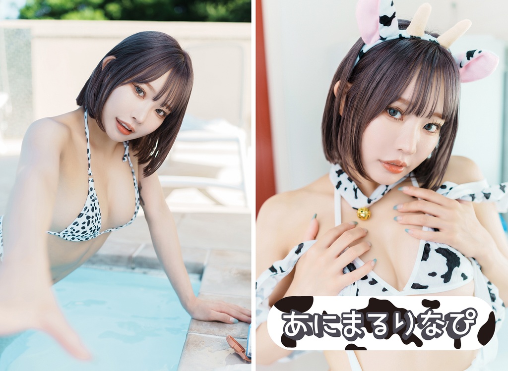 【C102】既刊ページ