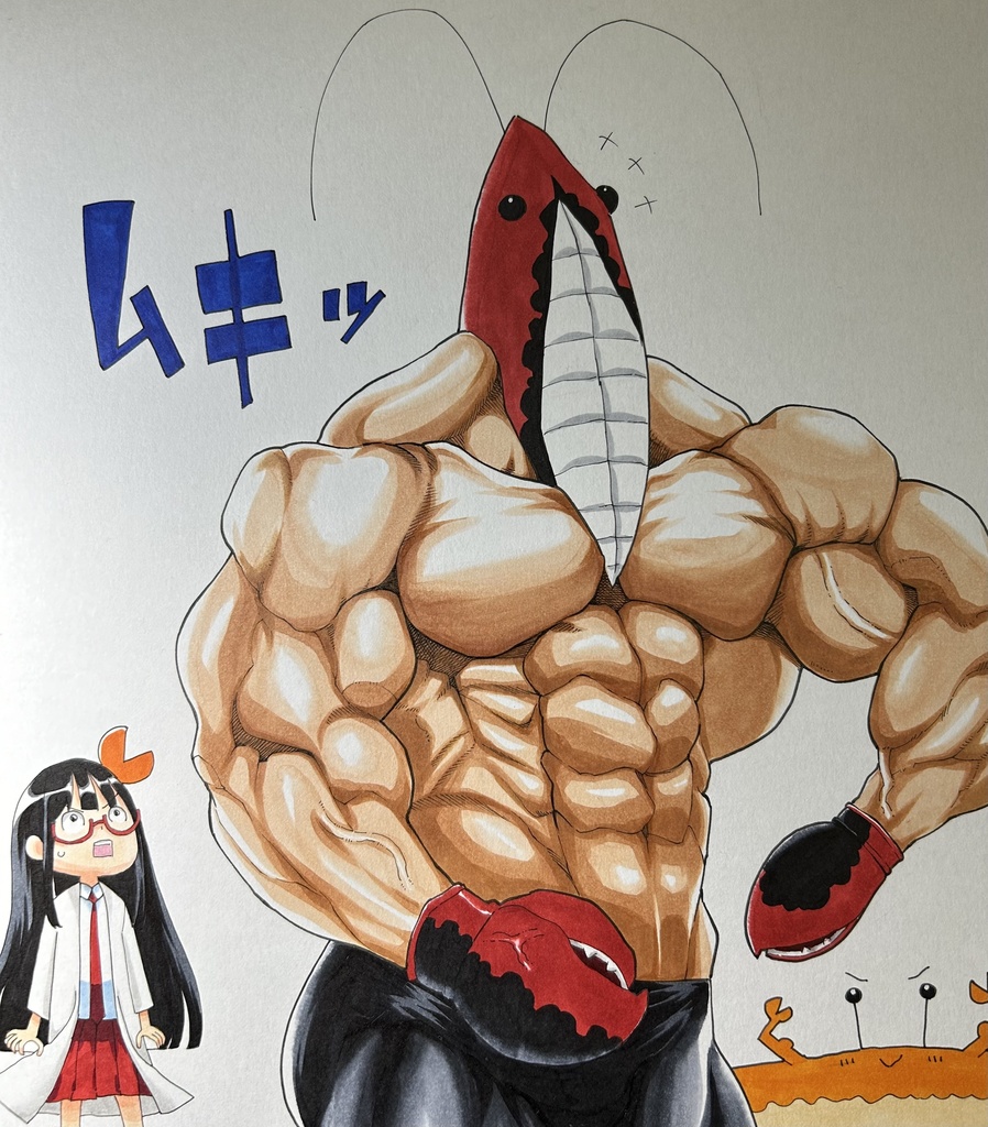 シュリンプキングダム　イラスト色紙