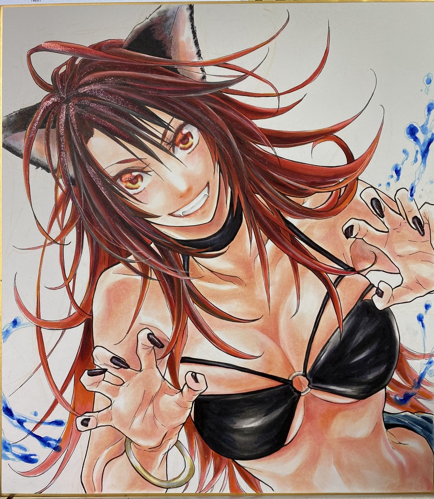 直筆イラスト色紙D