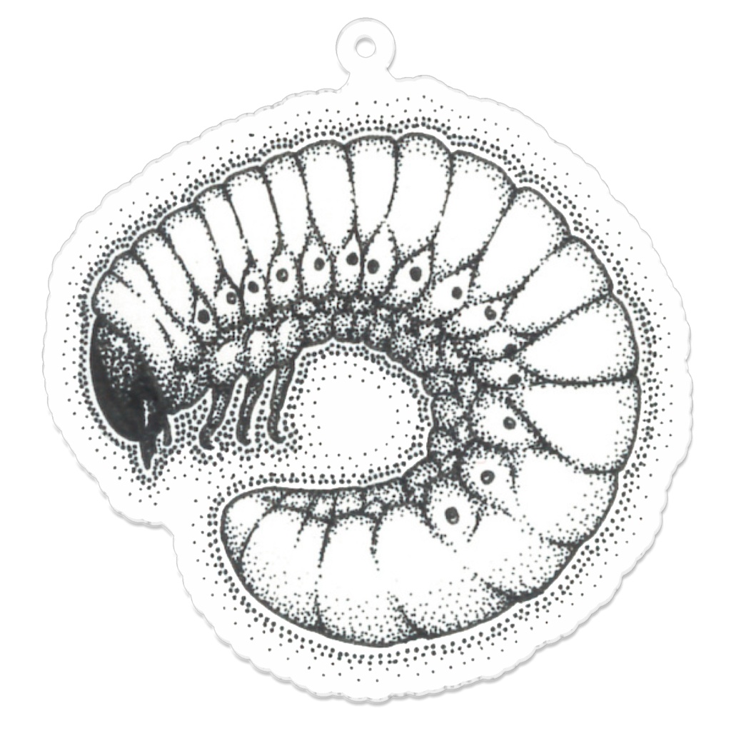 幼虫 キーホルダー (アクリル)