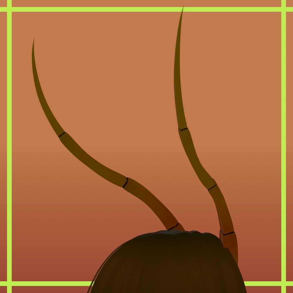 Antenna (Centipede)