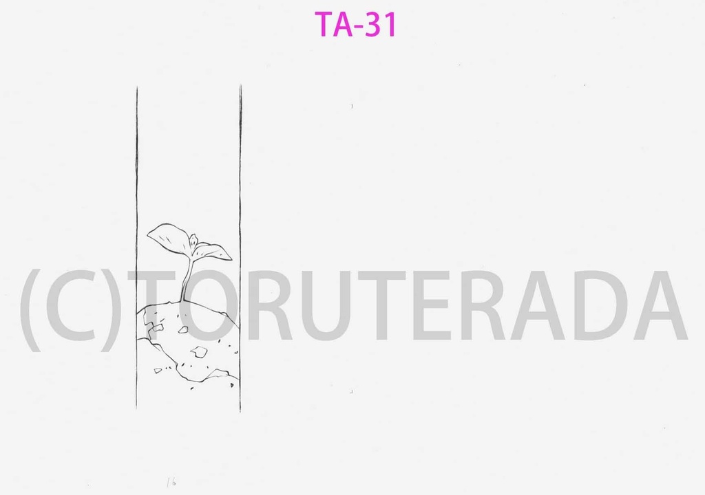 THE APPLES用 直筆原画