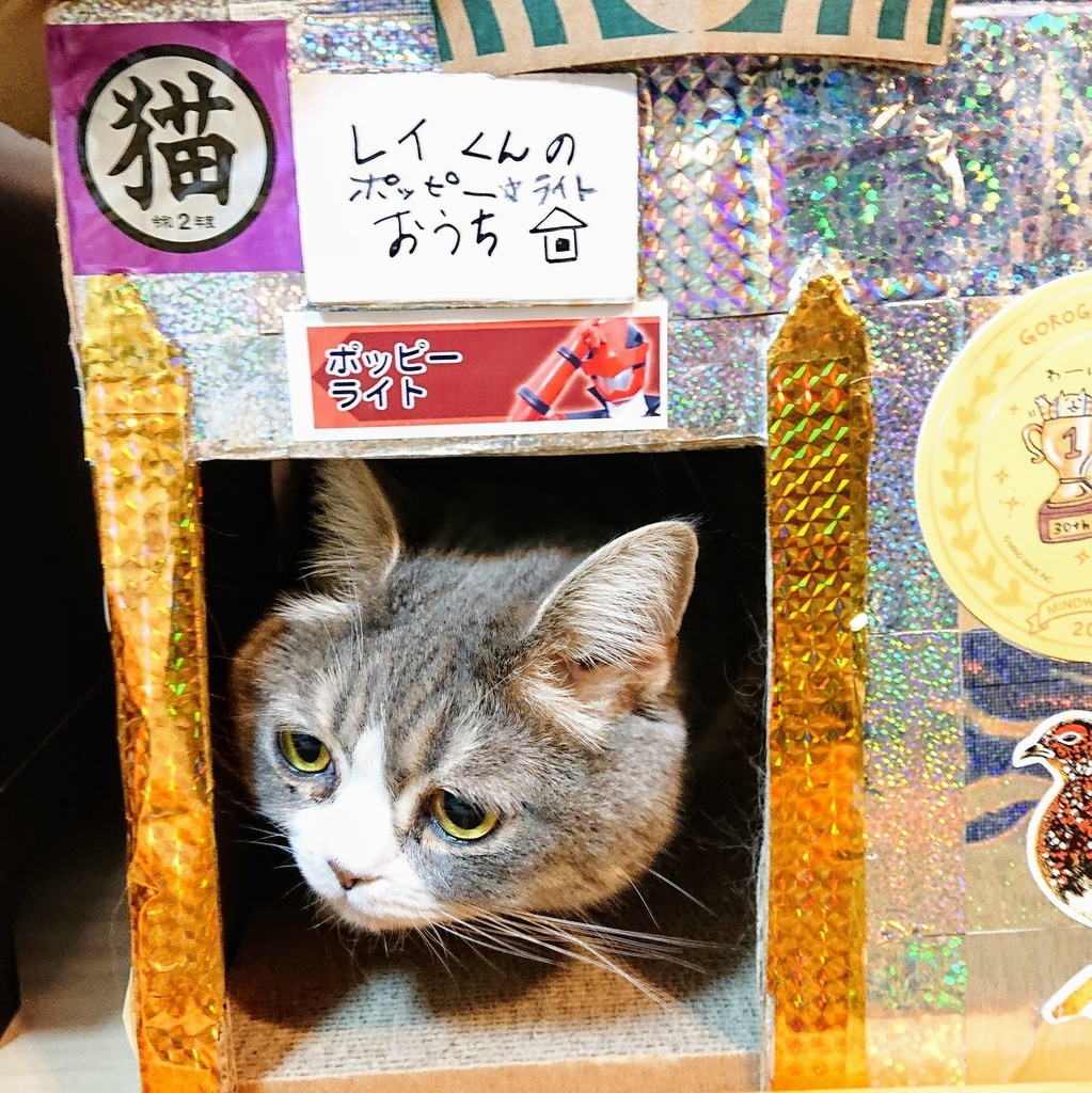 猫シール