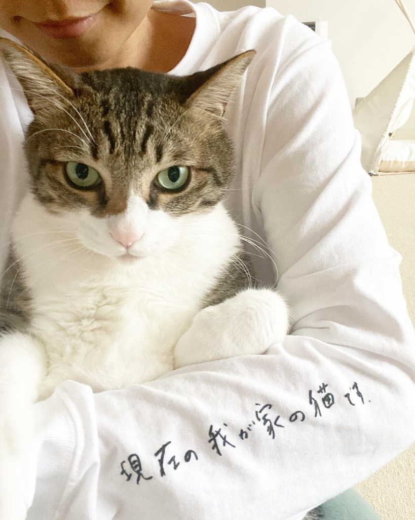 受注生産商品 現在の我が家の猫ロンt もず串 Booth