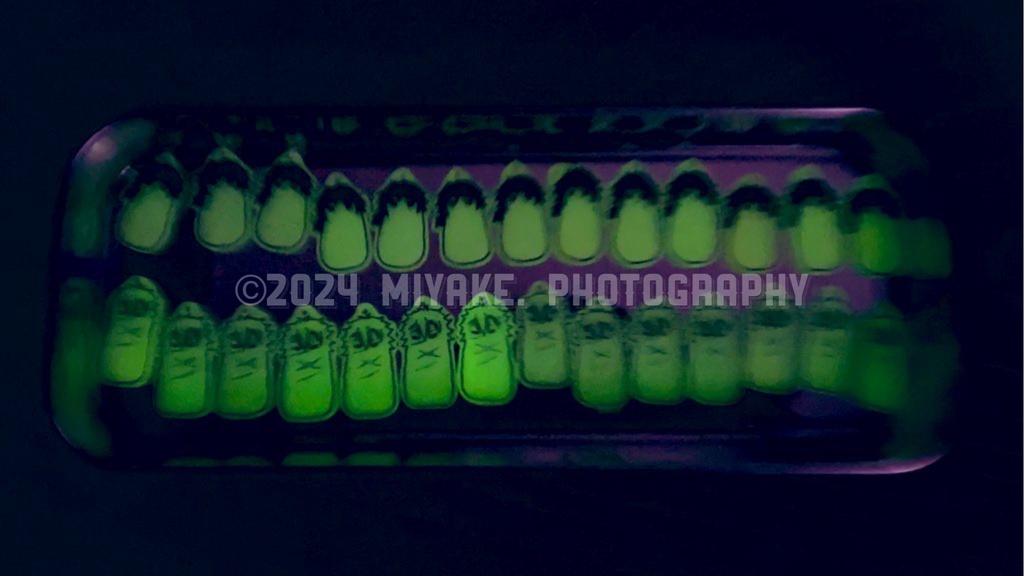 ひかるいきものストラップ