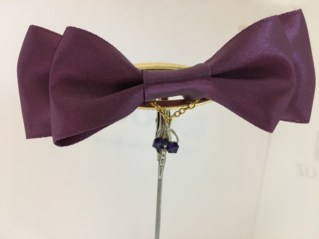 サバイバー リボンヘアクリップ