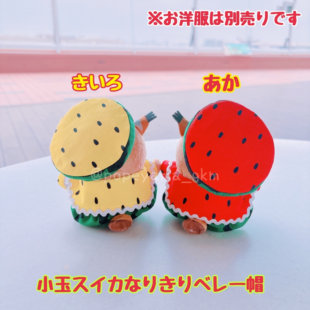 小玉スイカなりきりベレー帽