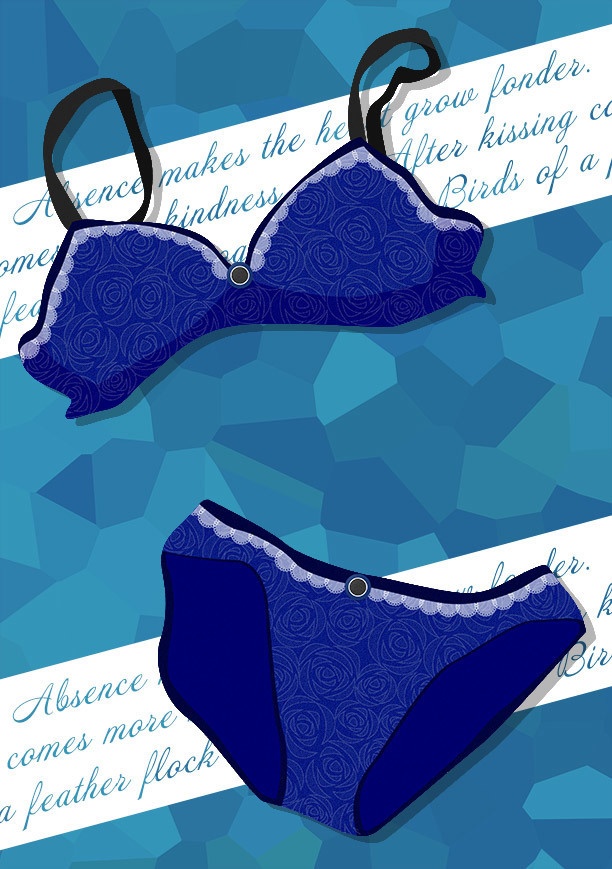 pixiv用小説表紙素材【下着セット(薔薇レース)】