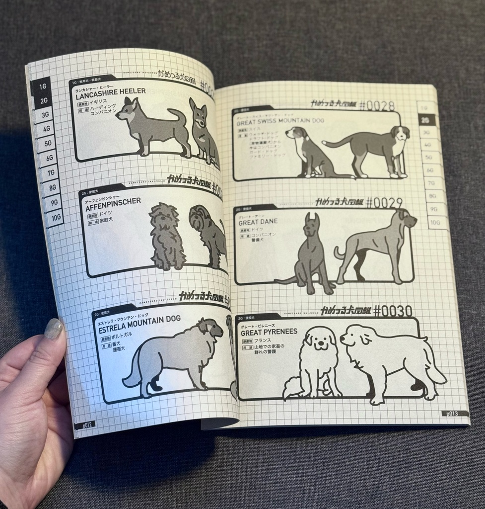 かめつる犬図鑑【図録】