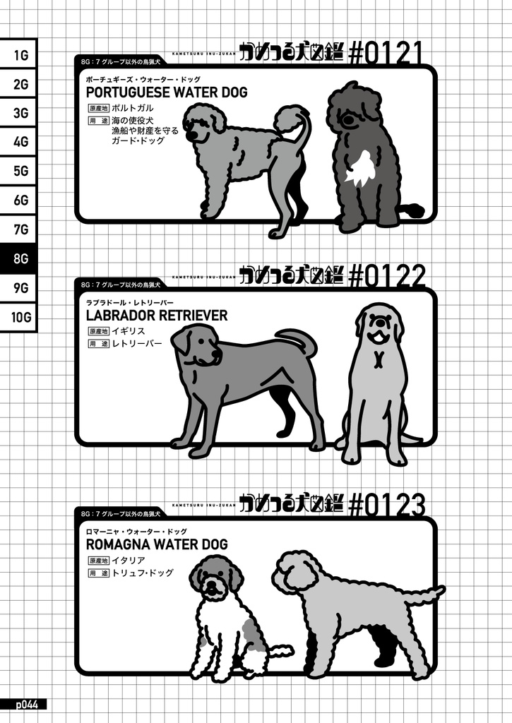 かめつる犬図鑑【図録】