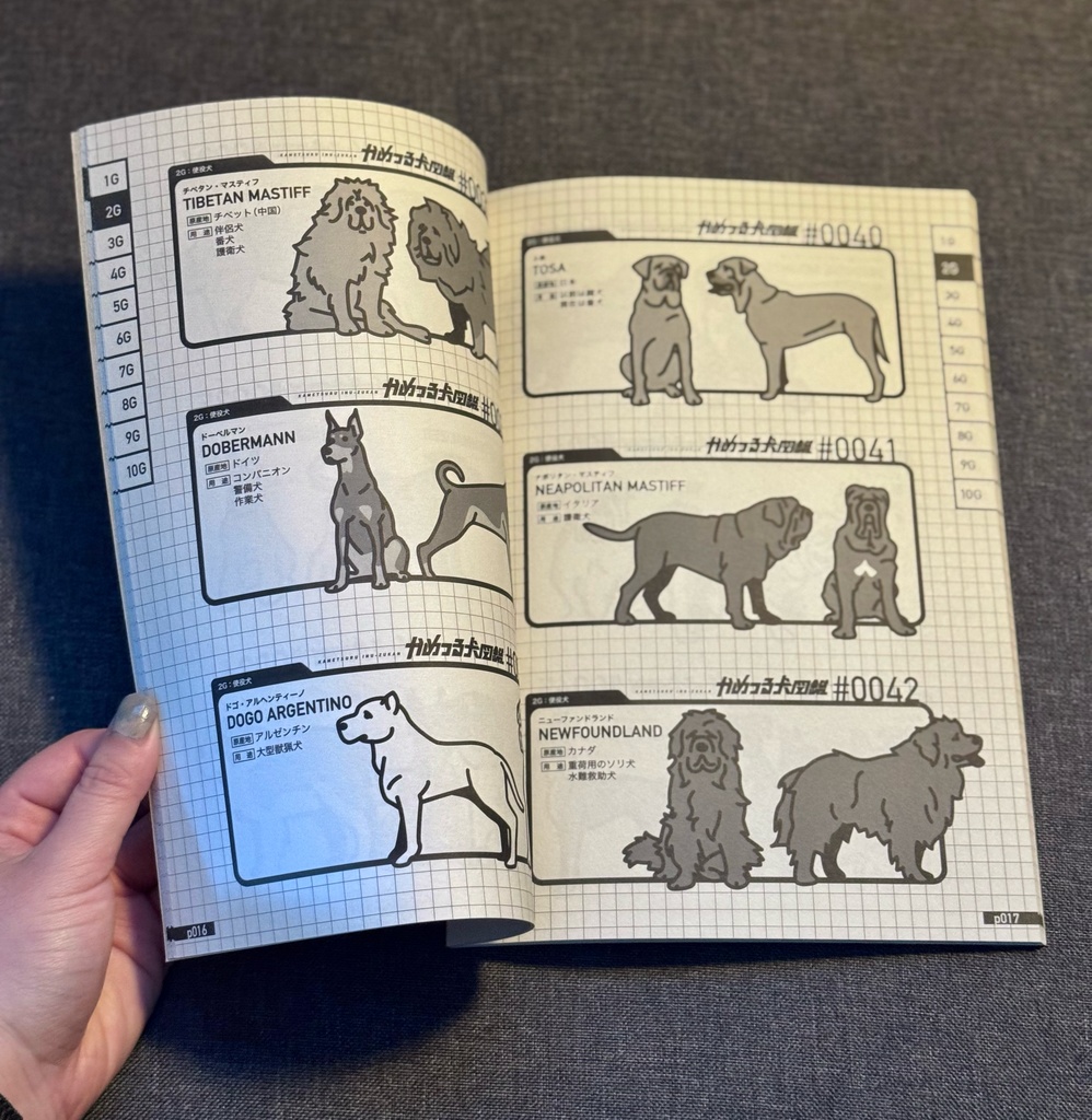 かめつる犬図鑑【図録】