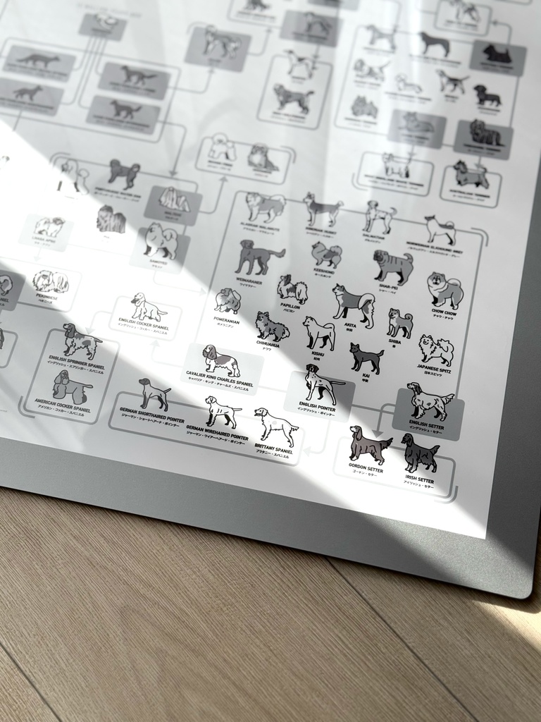 かめつる犬図鑑【系統図】