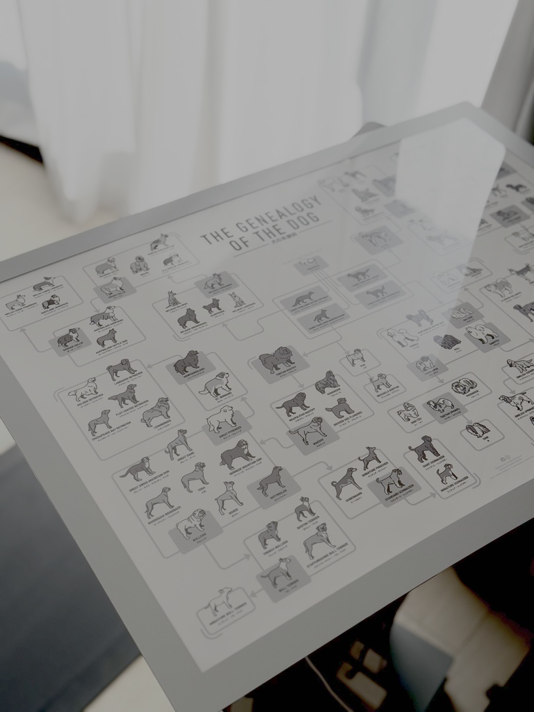 かめつる犬図鑑【系統図】