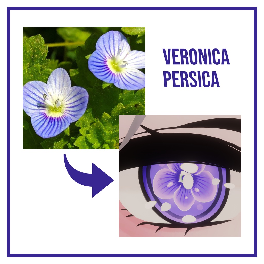 [4 Avatars] Veronique Eye Textures 缩略图 6