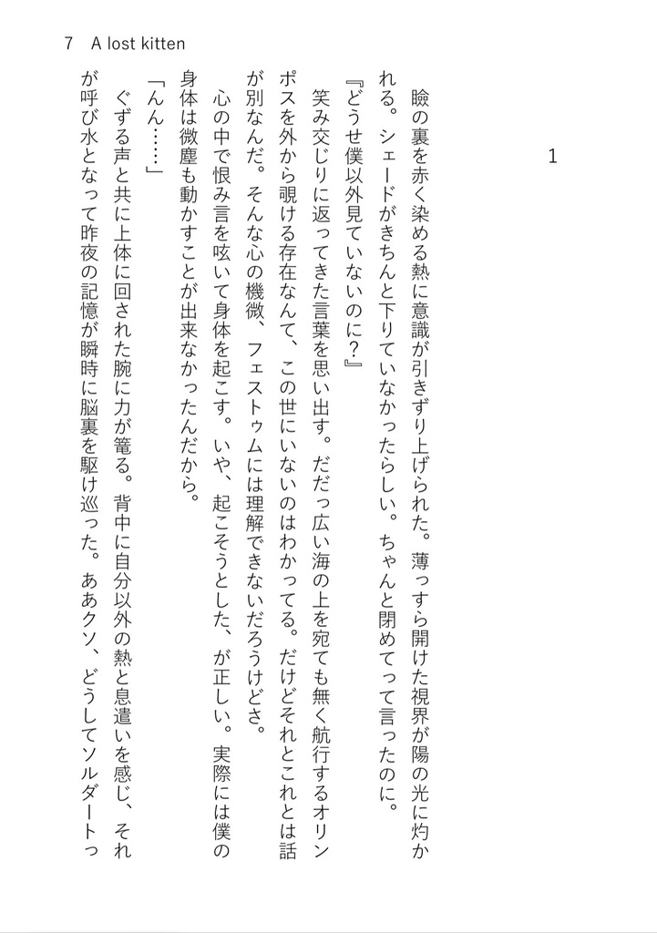 A lost kitten【匿名配送】