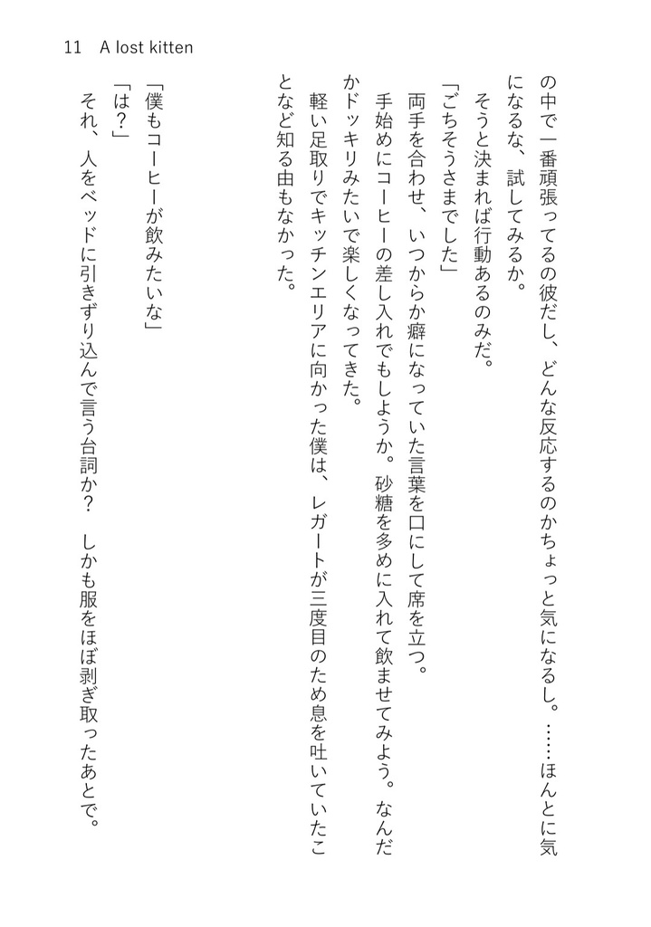 A lost kitten【匿名配送】