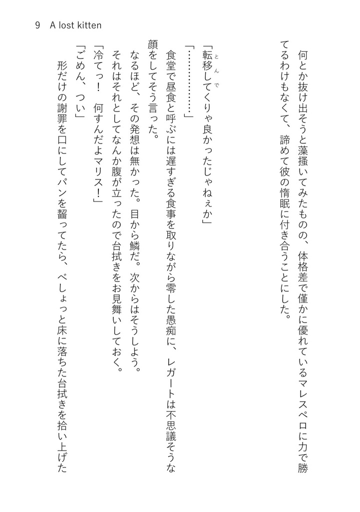 A lost kitten【匿名配送】