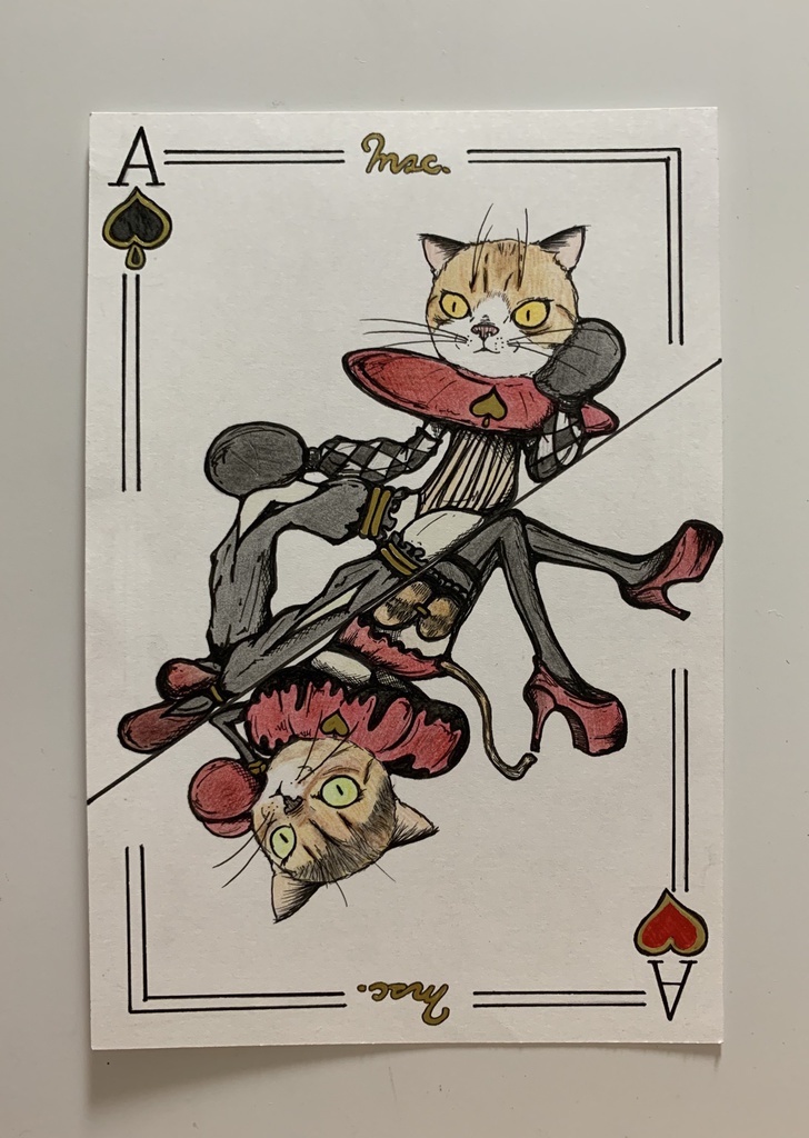 m.s.c 受注ポストカード