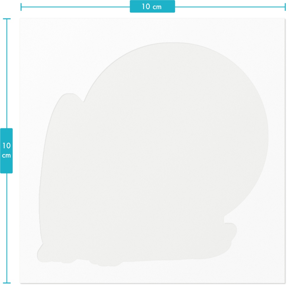ハロー!カタツムリ!