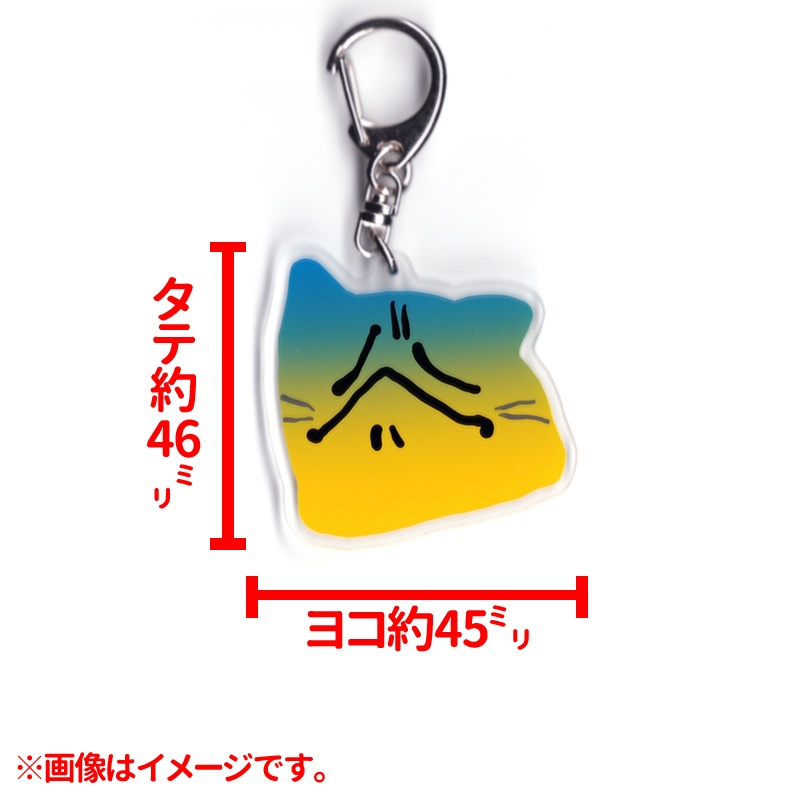 アクリルキーホルダー「辛酸をなめた猫」