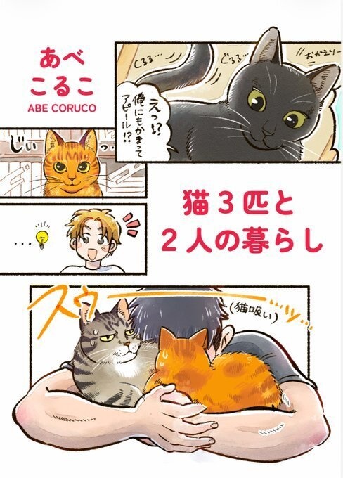 猫3匹と2人の暮らし