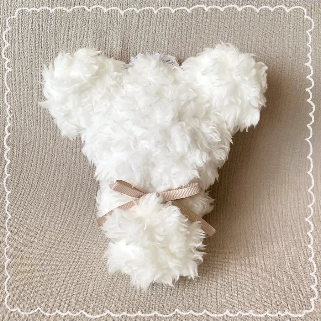 ぬい服 着ぐるみ 10cm スノーホワイトくまさん AK37