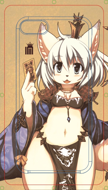 建国記念iphone4/5ケース二種一組