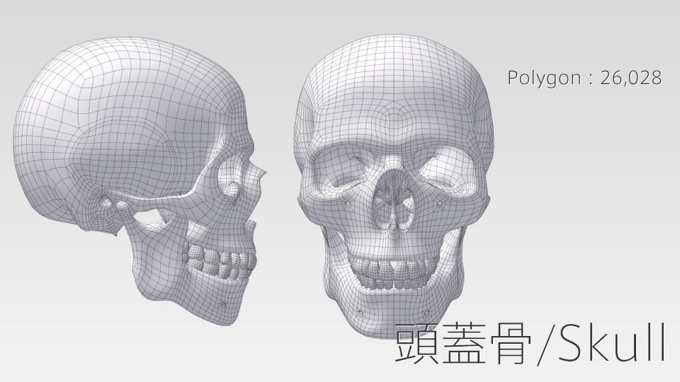 3dデータ 頭蓋骨 Skull Em Booth