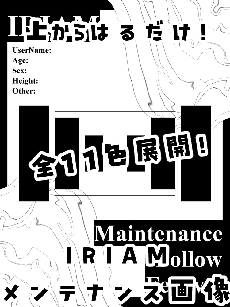 IRIAMメンテナンス画像3