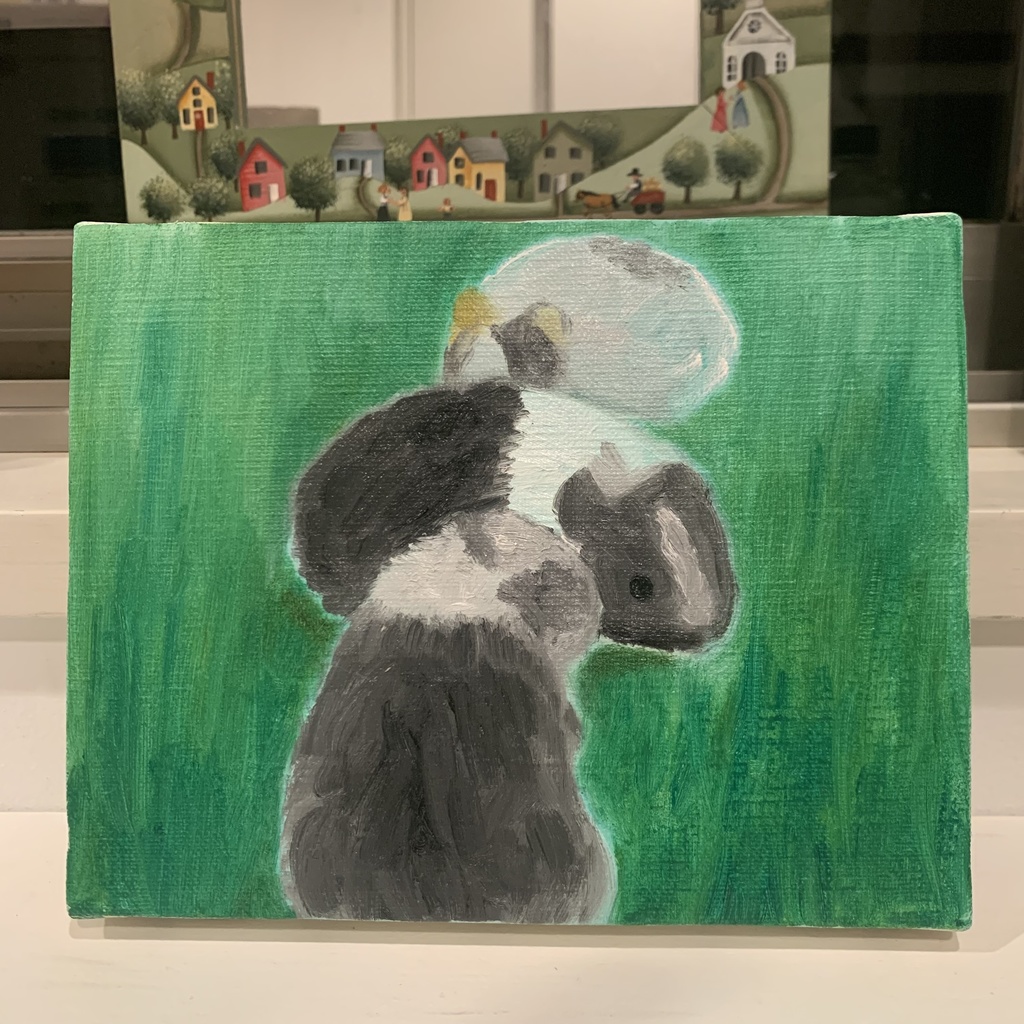 横浜モルモット