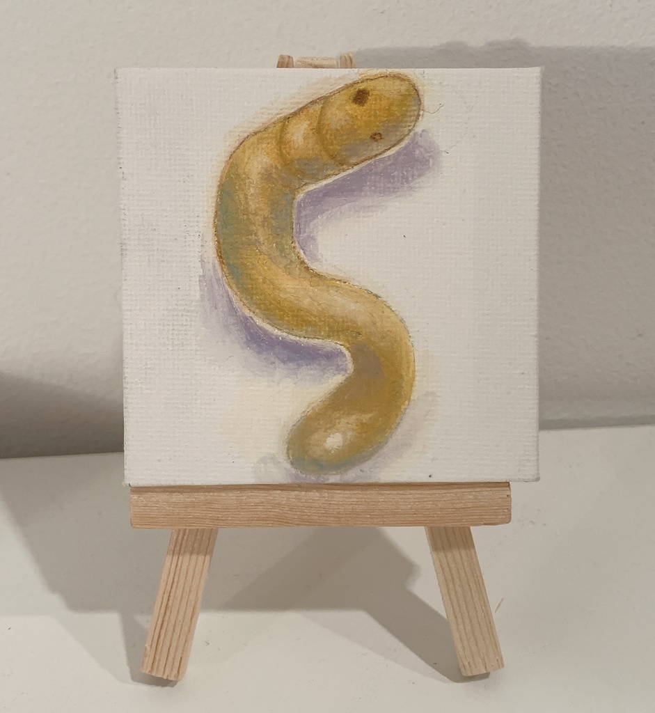 ミミズナンバ〜ズno.1〜no.5